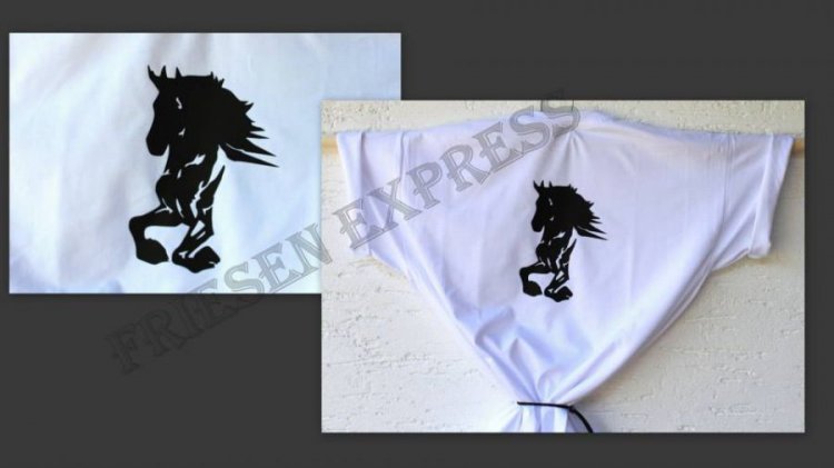 (Bild für) T-Shirt Friesen Express - zum Schließen ins Bild klicken