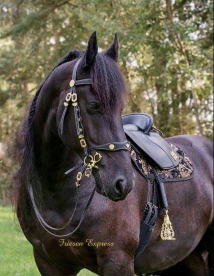 (Bild für) Wassergebiss Antik Silber - zum Schließen ins Bild klicken