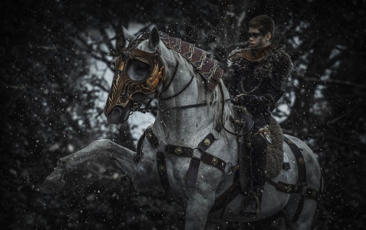 (Bild für) Wassergebiss Antik Silber - zum Schließen ins Bild klicken