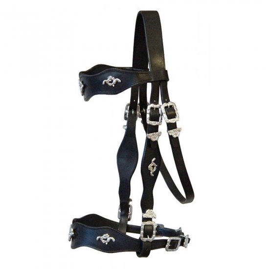 (Bild für) Portugiesischer Showzaum SA schwarz-silber - zum Schließen ins Bild klicken