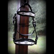 Barockzaum Classico schwarz/weiß (Bild für) Barockzaum Classico schwarz/weiß