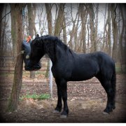 (Bild für) HeuSpielSack Horse normal