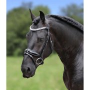 Trense Grand Prix (Bild für) Trense Grand Prix