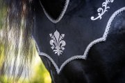 (Bild für) Barockes Vorderzeug Fleur