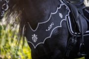 (Bild für) Barockes Vorderzeug Fleur
