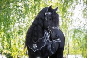 (Bild für) Barockes Vorderzeug Fleur