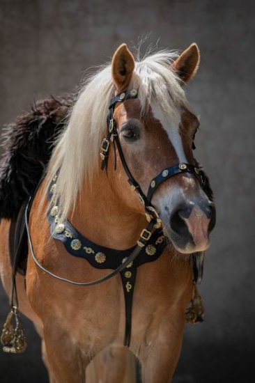 (Bild für) Barockes Brustblatt Amber - zum Schließen ins Bild klicken