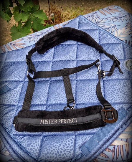 (Bild für) Halfter Mister Perfect - zum Schließen ins Bild klicken