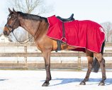 (Bild für) Ausreitdecke Fleece Ornament