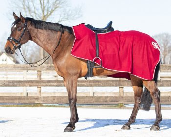 (Bild für) Ausreitdecke Fleece Ornament