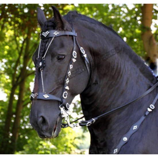 (Bild für) Portugiesischer Showzaum LC - zum Schließen ins Bild klicken