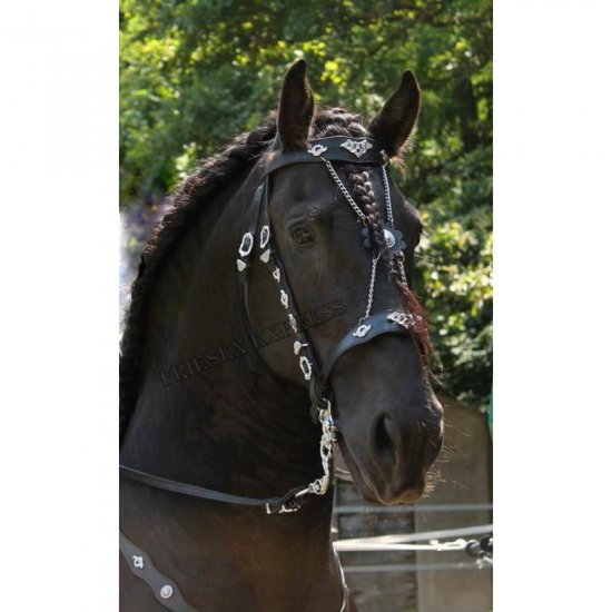 (Bild für) Portugiesischer Showzaum LC - zum Schließen ins Bild klicken