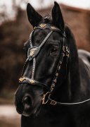 Prunk Zaum Sir Lancelot (Bild für) Prunk Zaum Sir Lancelot