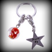 (Bild für) Trense Charms Text