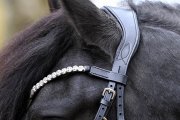 (Bild für) Trense Silber Lack Diamond