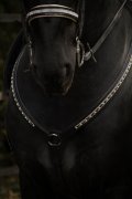 (Bild für) Vorderzeug Black Bling