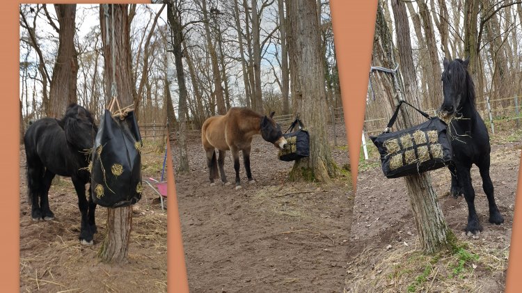 (Bild für) Heu Tasche - zum Schließen ins Bild klicken