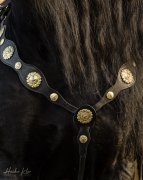 (Bild für) Barockes Vorderzeug Avar