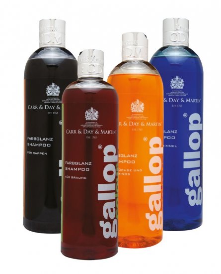 (Bild für) Carr & Day & Martin Gallop Colour Shampoo Schimmel - zum Schließen ins Bild klicken