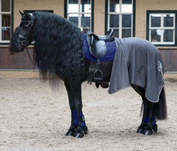 (Bild für) Fleece Decke mit Ornamenten