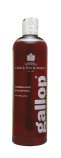 (Bild für) Carr & Day & Martin Farbglanz Shampoo für Braune