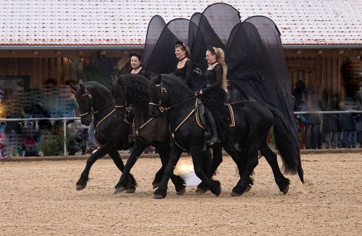 Prunk Zaum Golden Girl